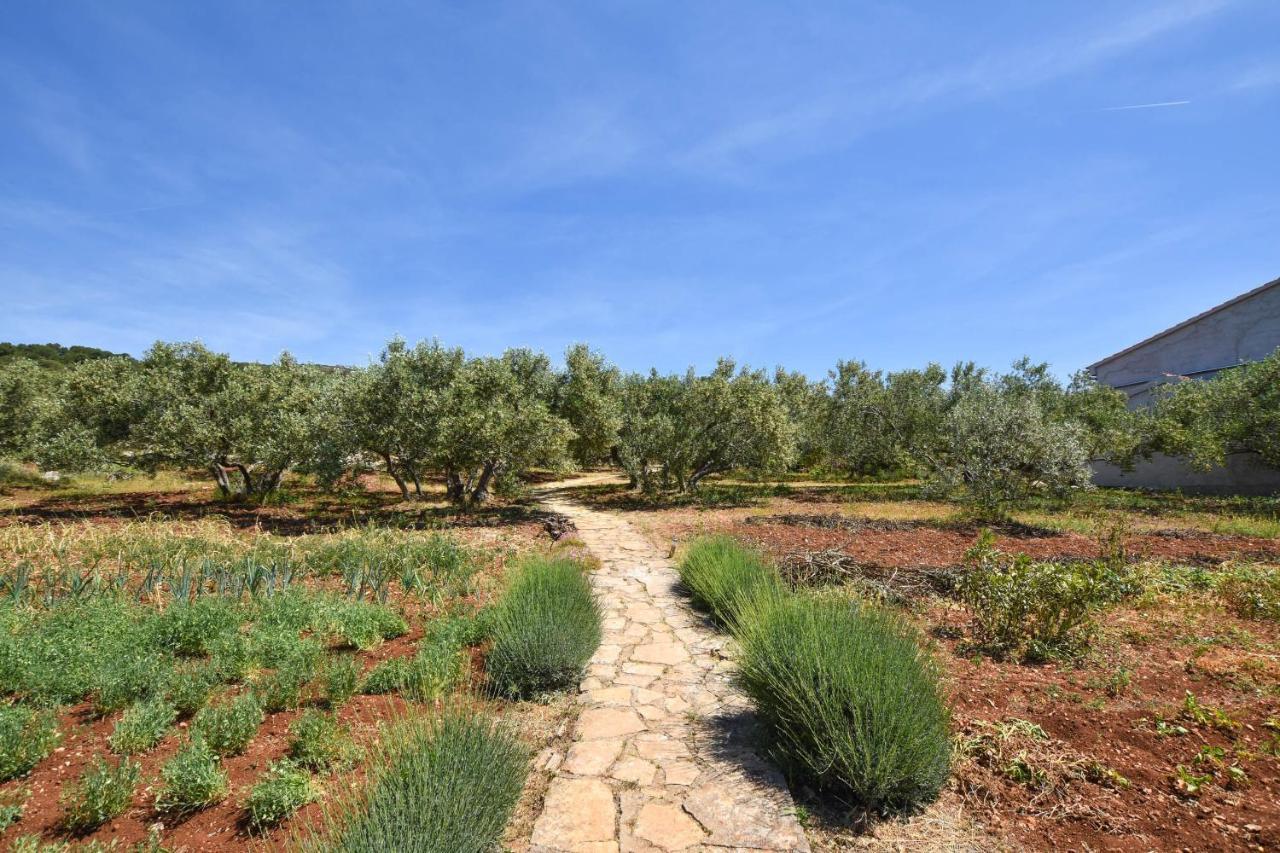 House Oliva Villa Tkon Exterior photo